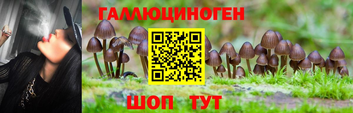 Псилоцибиновые грибы мицелий  хочу наркоту  Нижнеудинск  Вход с VPN 